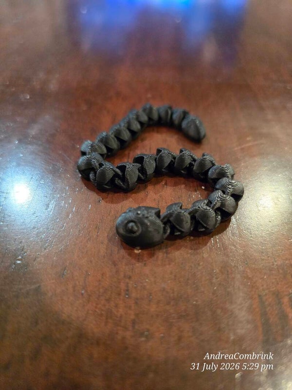 Snake