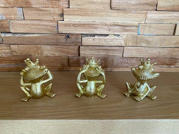 Kikkerkoning horen, zien en zwijgen