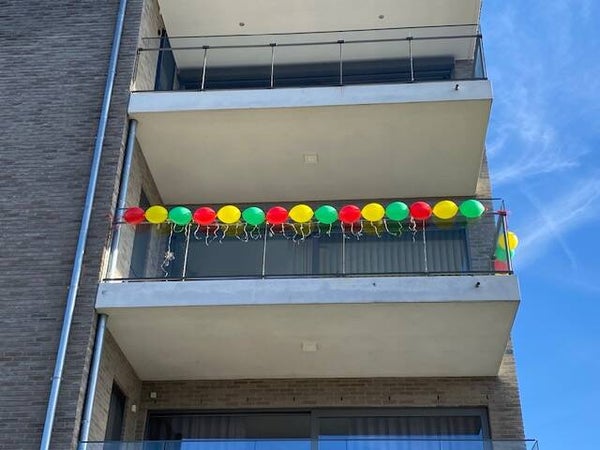 Slinger Link o Loon basic