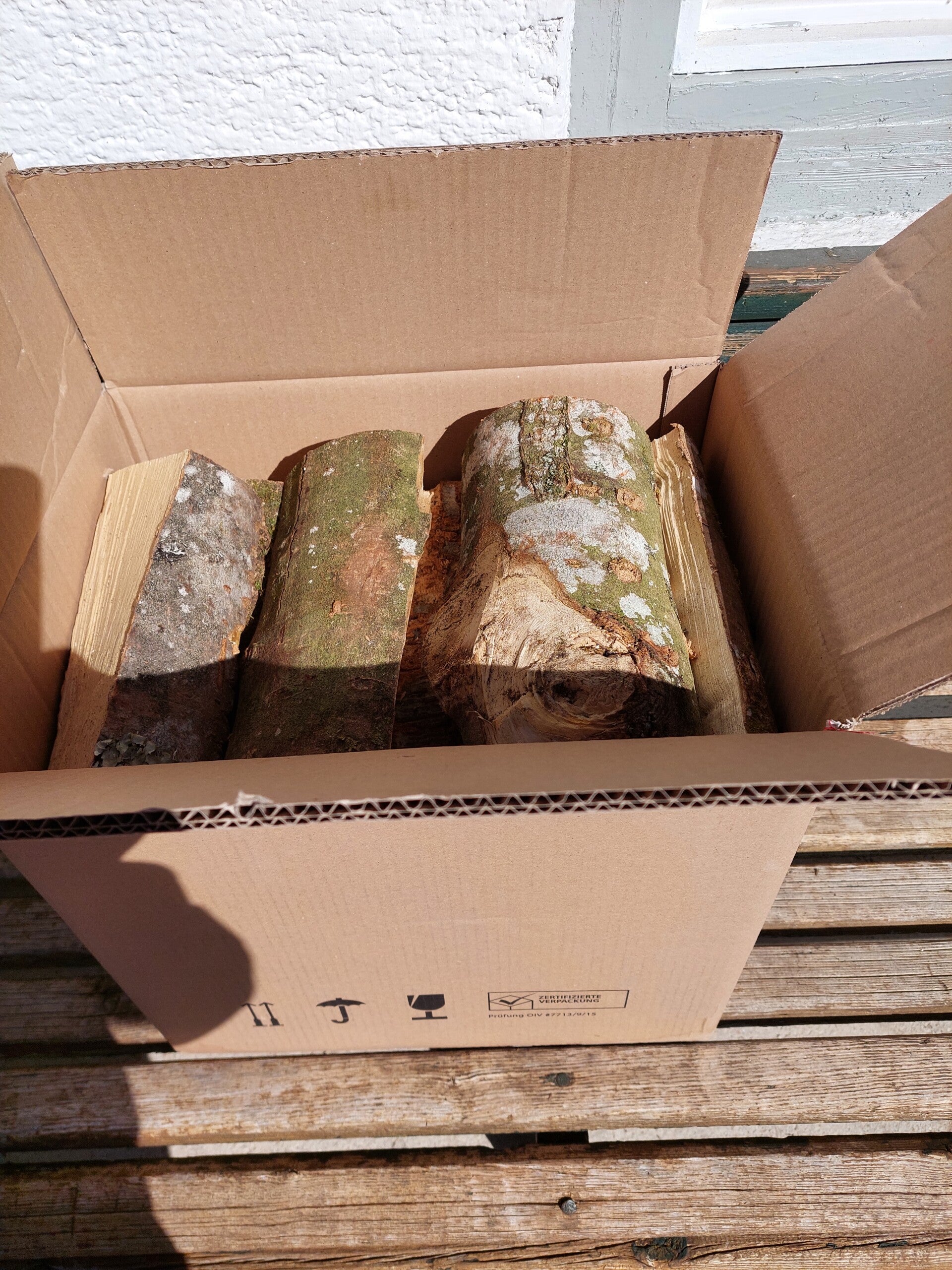 Buche 25 cm im Karton