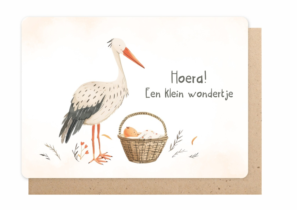 Wenskaart - Hoera! Een klein wondertje!