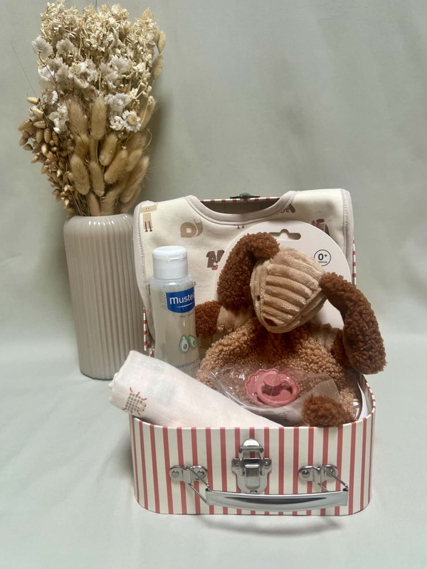 Kleine geschenkkoffer - Animal Friends