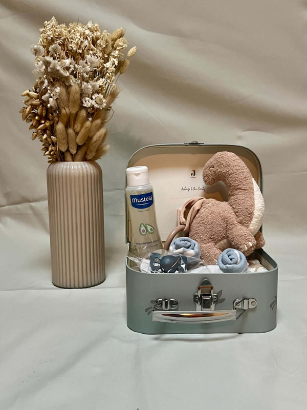 Kleine geschenkkoffer - Roarsome