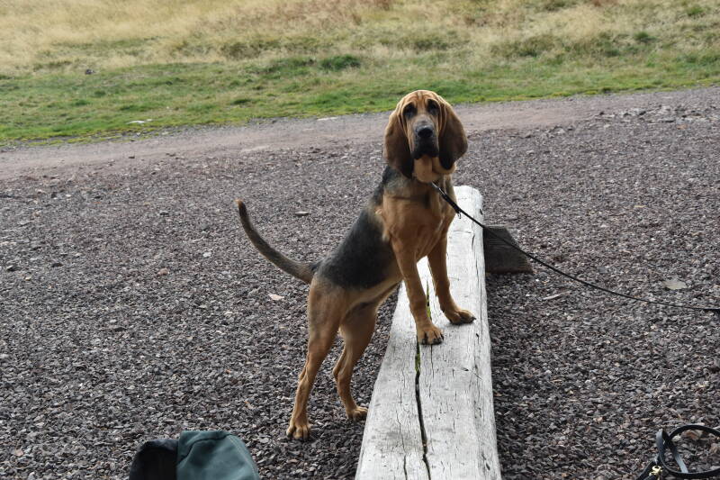 Parys in de bergen in Tsjechië