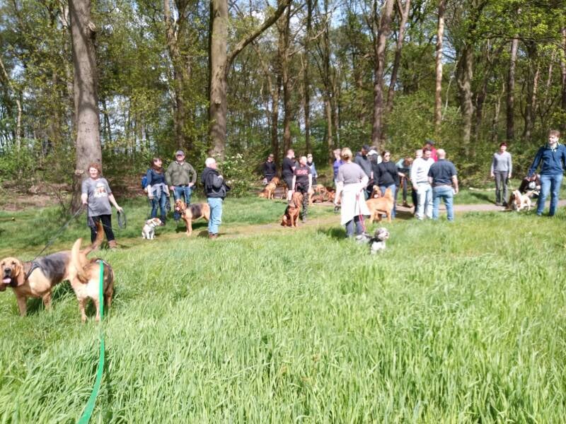 Wandeling "Over de grenzen heen" 2024