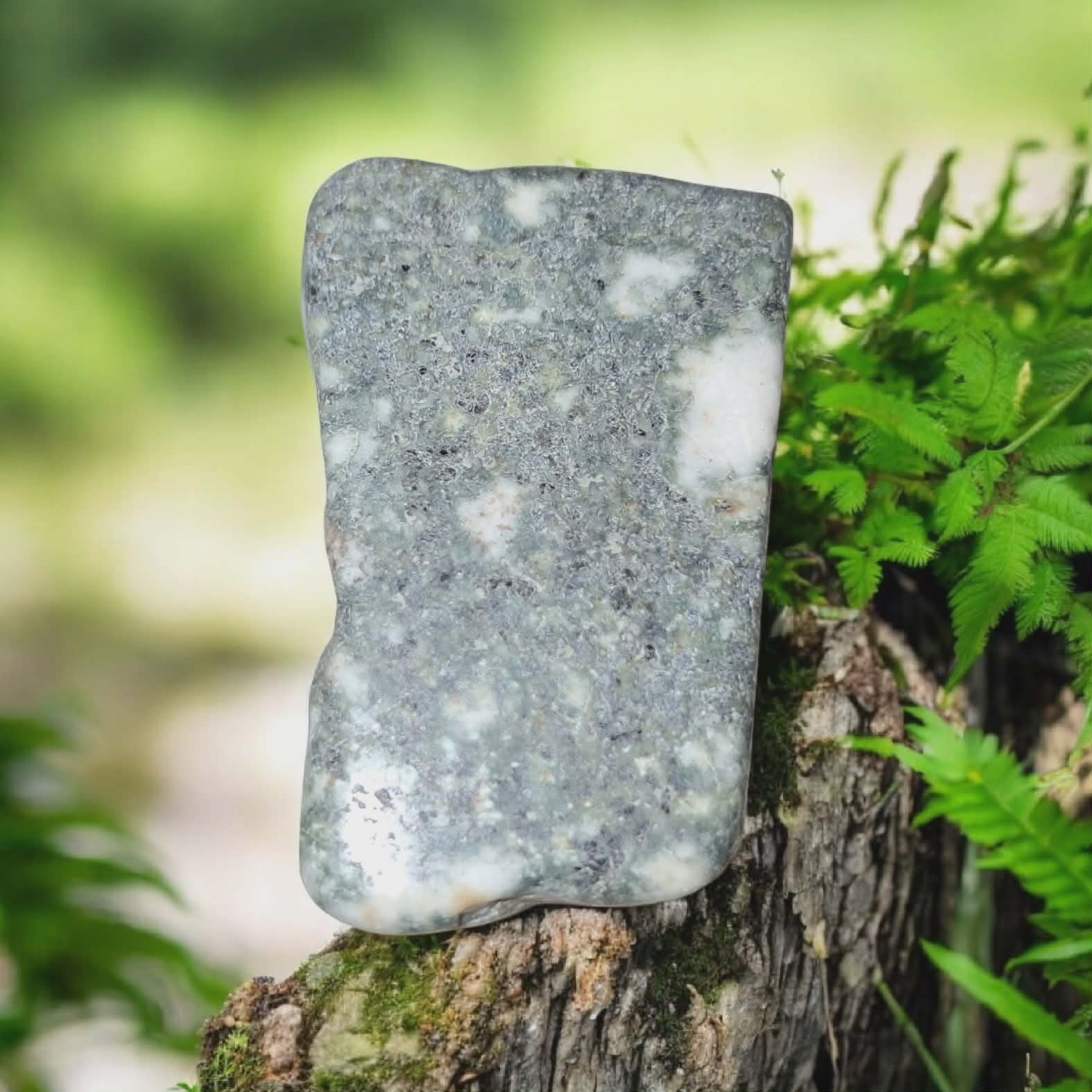 preselli stone schijf 01