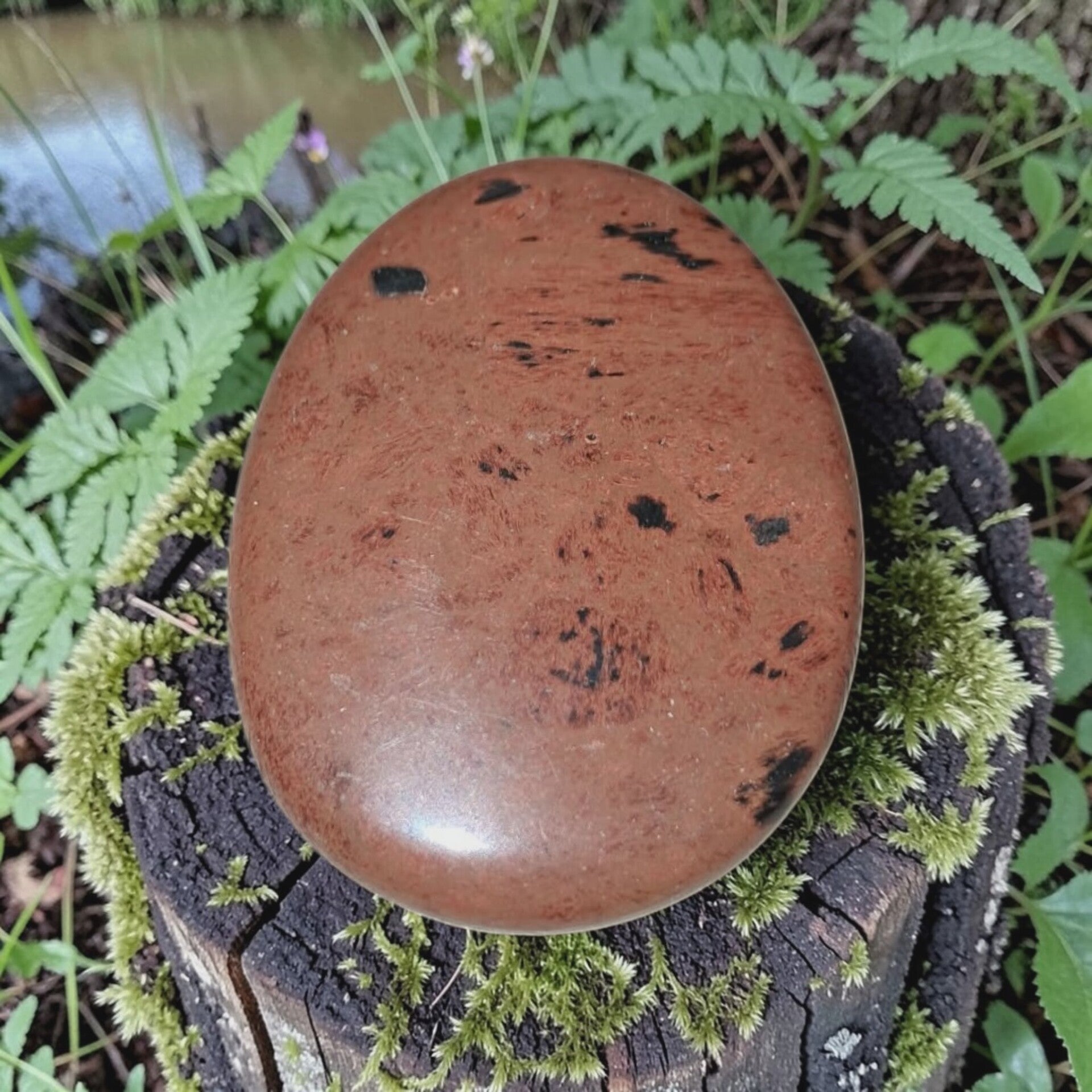 Mahonie Obsidiaan Schijf 01