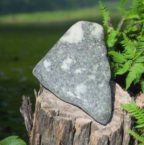 preselli stone schijf 02