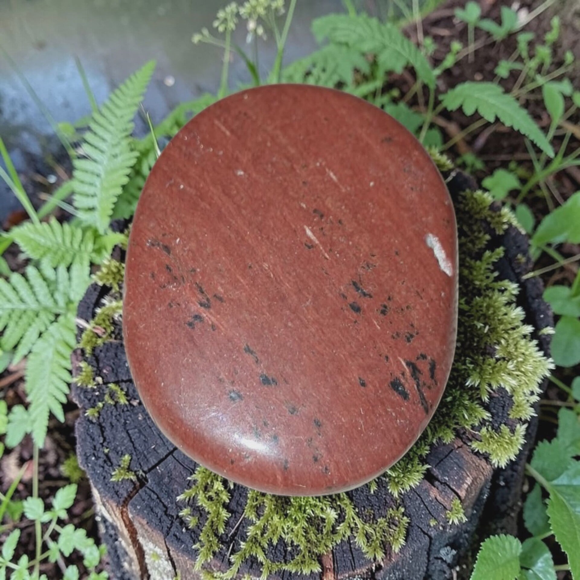 Mahonie Obsidiaan Schijf 02