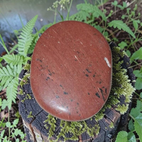 Mahonie Obsidiaan Schijf 02