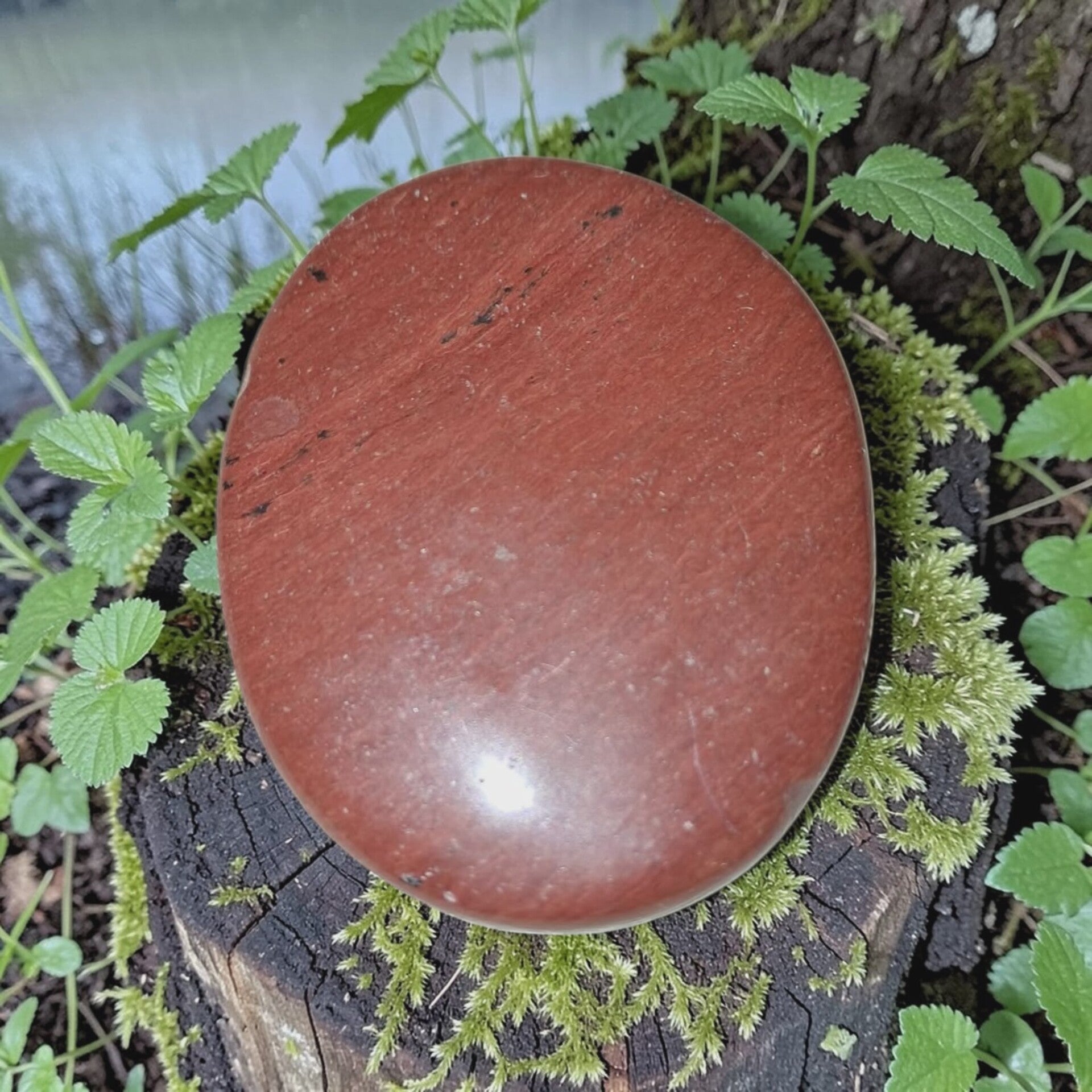 Mahonie Obsidiaan Schijf 04
