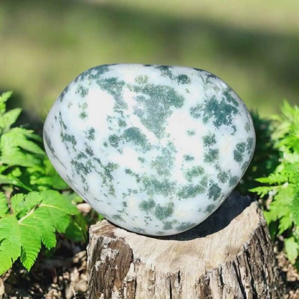 Boomagaat Knuffelssteen 01