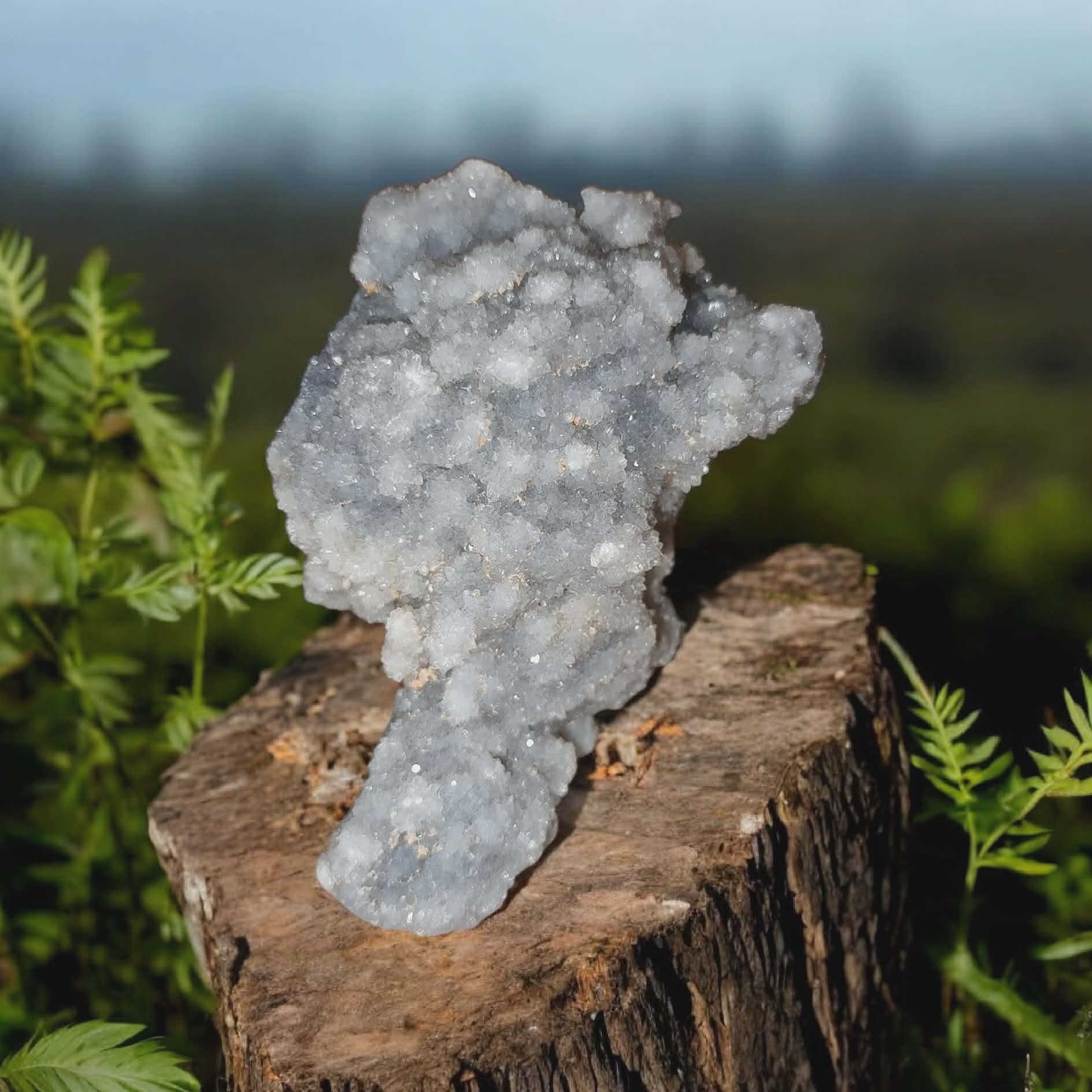 Chalcedoon druzzy