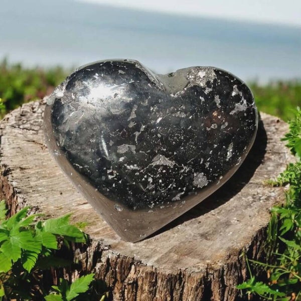 Pyriet Hart 01