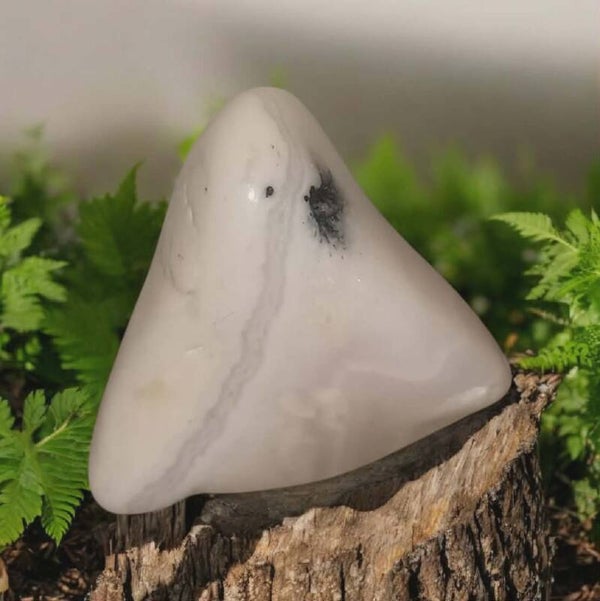 Mangano Calciet Knuffelsteen 01