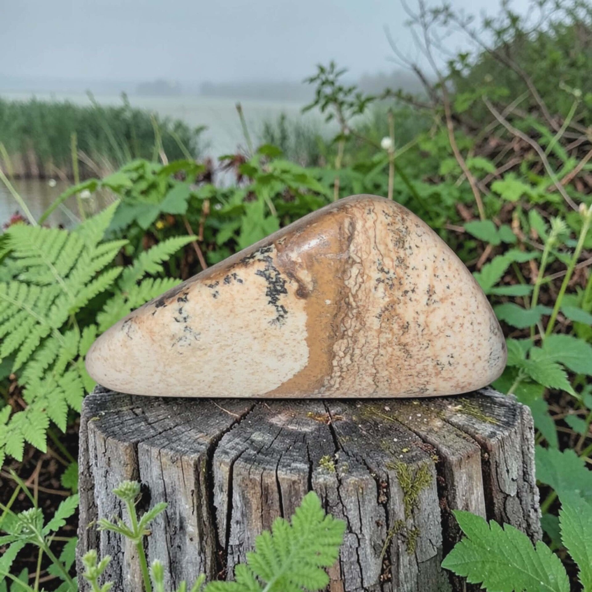Landschap Jaspis Schijf 02