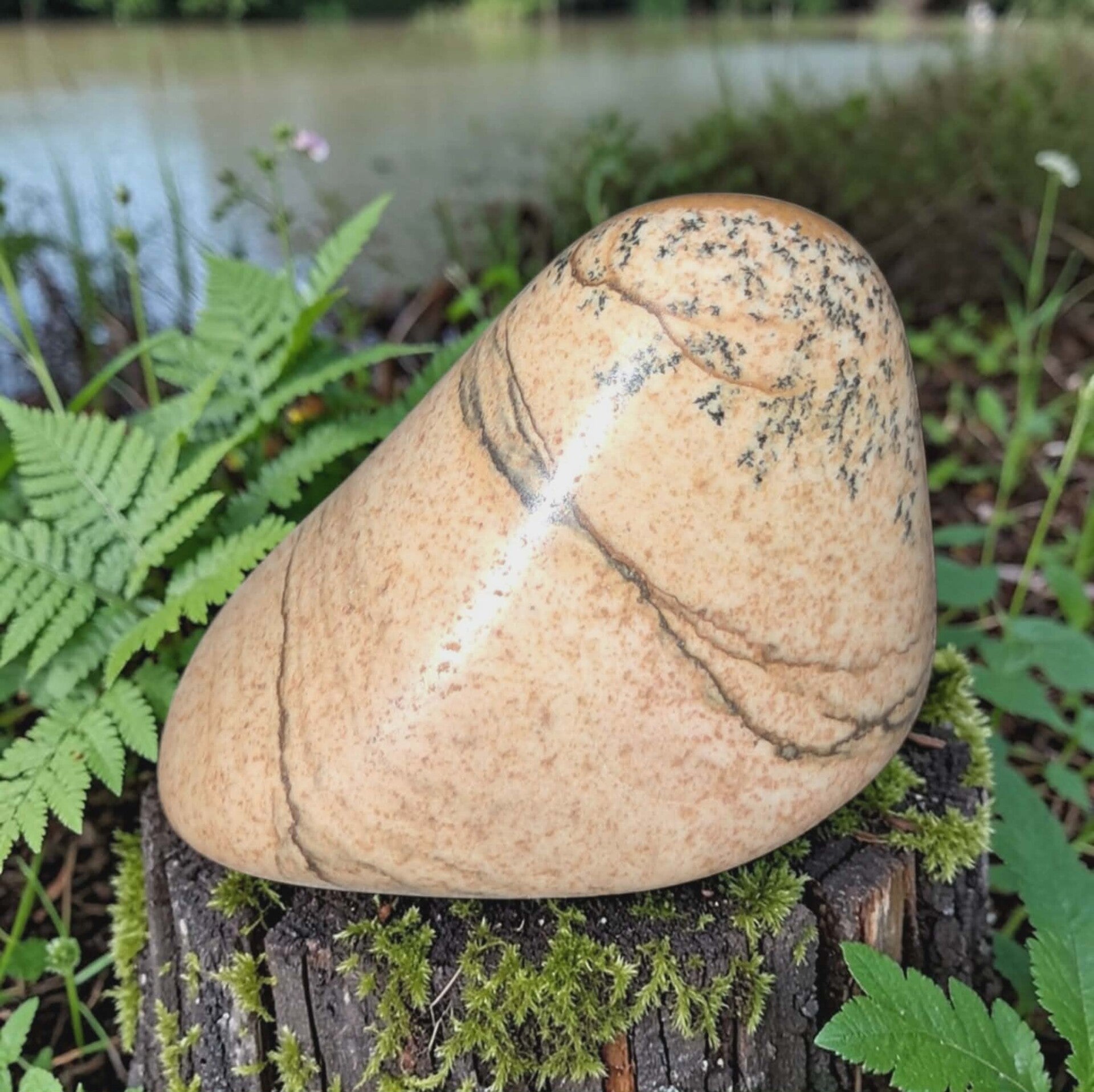 Landschap Jaspis Schijf 04