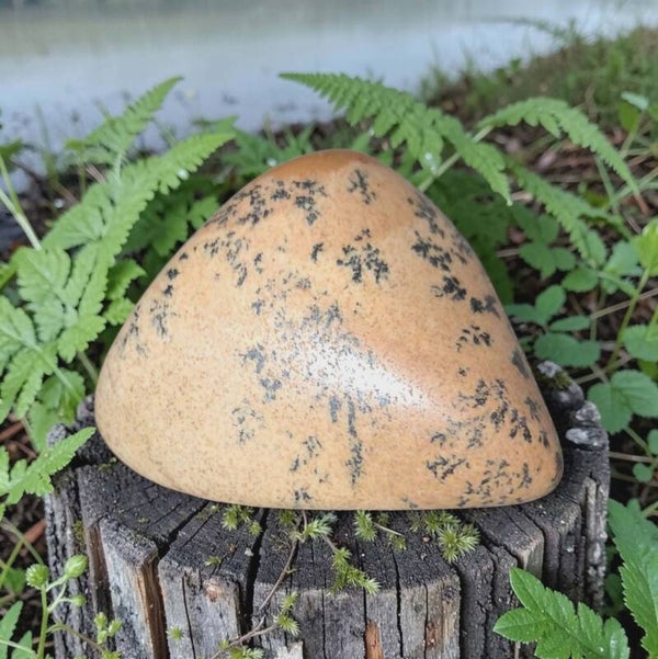 Landschap Jaspis Schijf 06