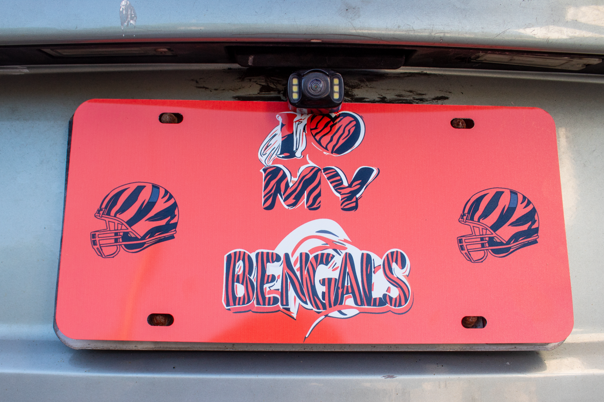 Cincinnati Football Full License Plate