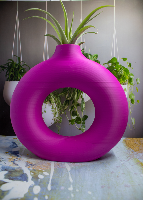 Pink Vase for Air Plant