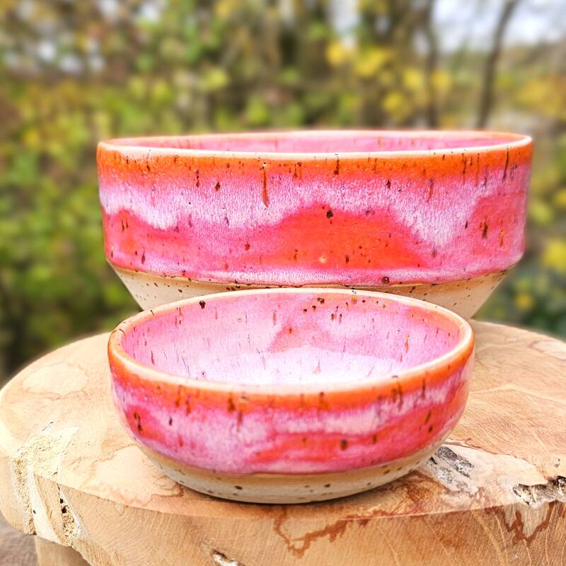 bowl-set-speck-fuchsia-standard-zqdjpm.jpg