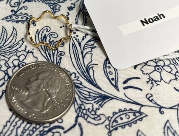 Noah's Ring