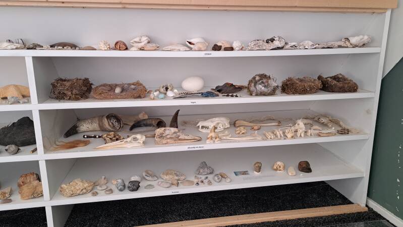 Matura Natuurmuseum