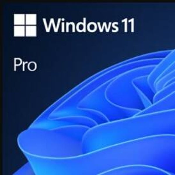 Windows 11 Pro