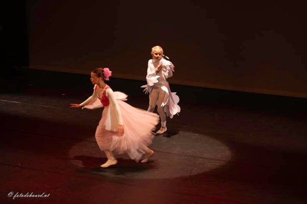 Foto 3 - 'Paloma -Duifje van de Liefde'