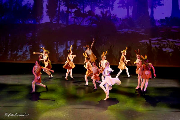 Foto 30 - 'Paloma -Duifje van de Liefde'