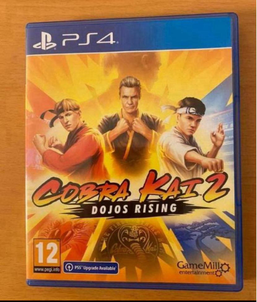 Cobra Kai 2 dojos rising