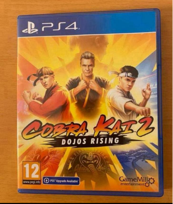 Cobra Kai 2 dojos rising