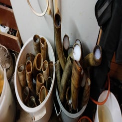 img20250320181213-standard.jpg
