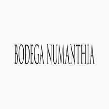 bodega-numanthia-2.jpg
