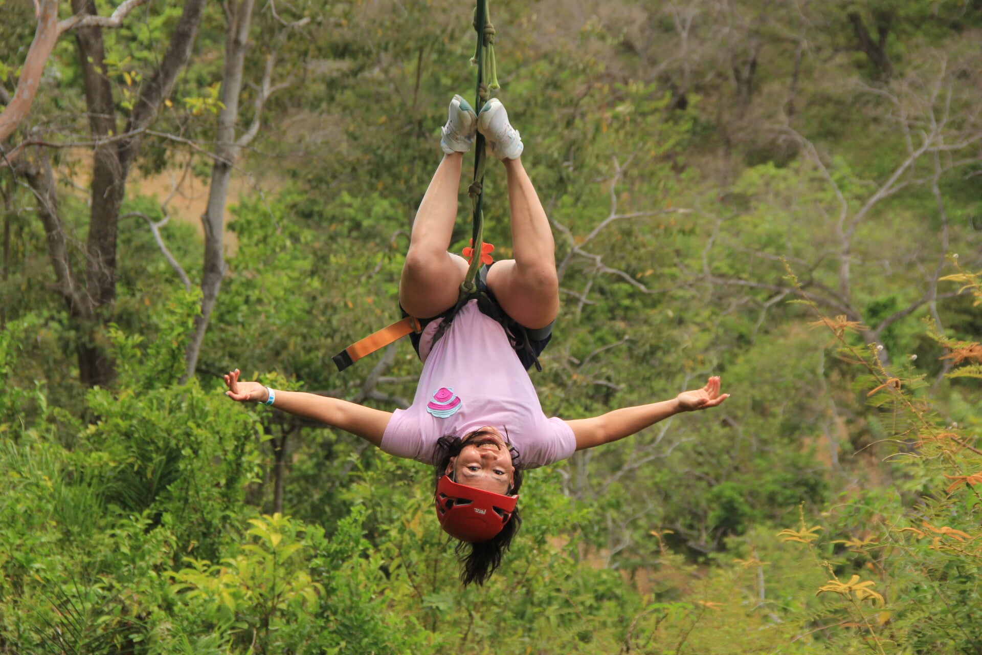 Zipline, Sloths & Monkeys