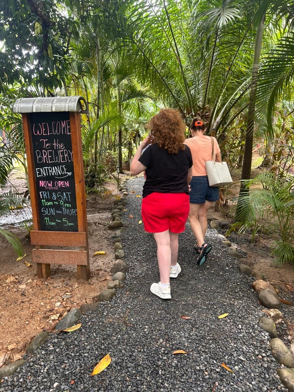 🦎 Wild Roatán: Iguanas, Hiking & Local Brews