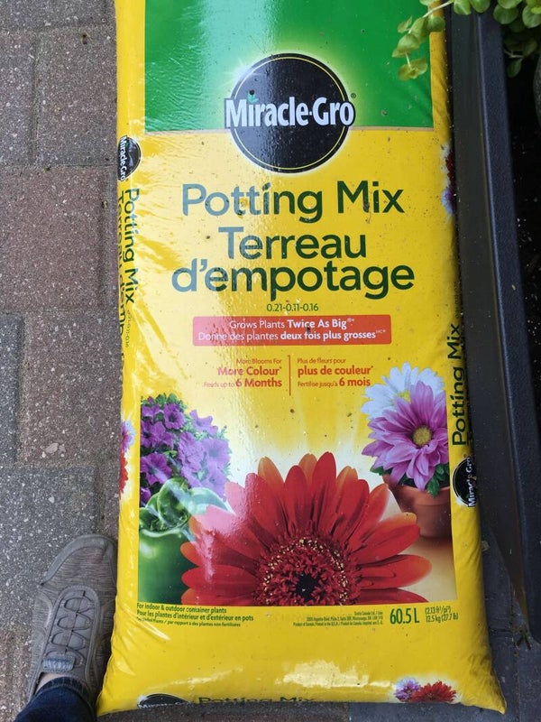 Terreau d'empotage Miracle Gro 25 litres