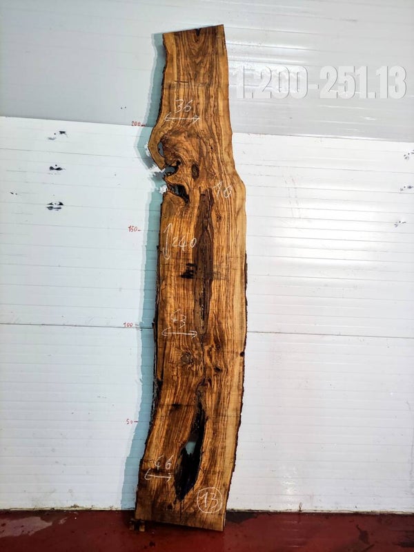 Ref:1.200-251.13