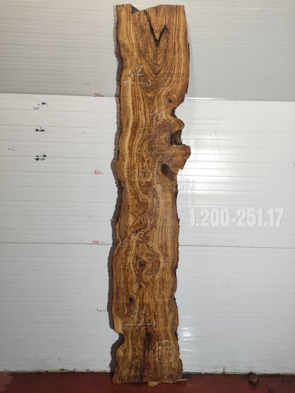 Ref:1.200-251.17