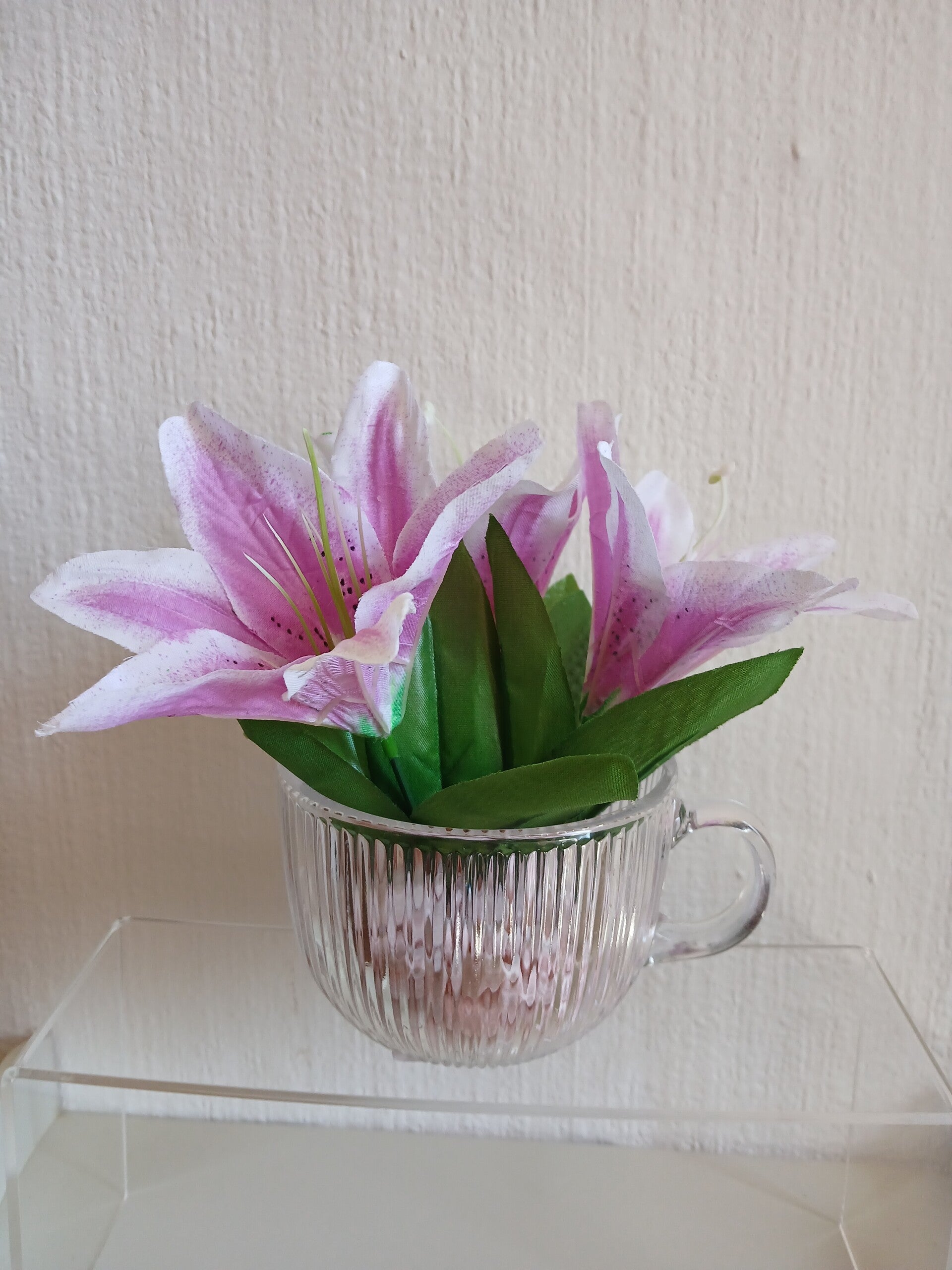 Lilienblüte in der Glastass