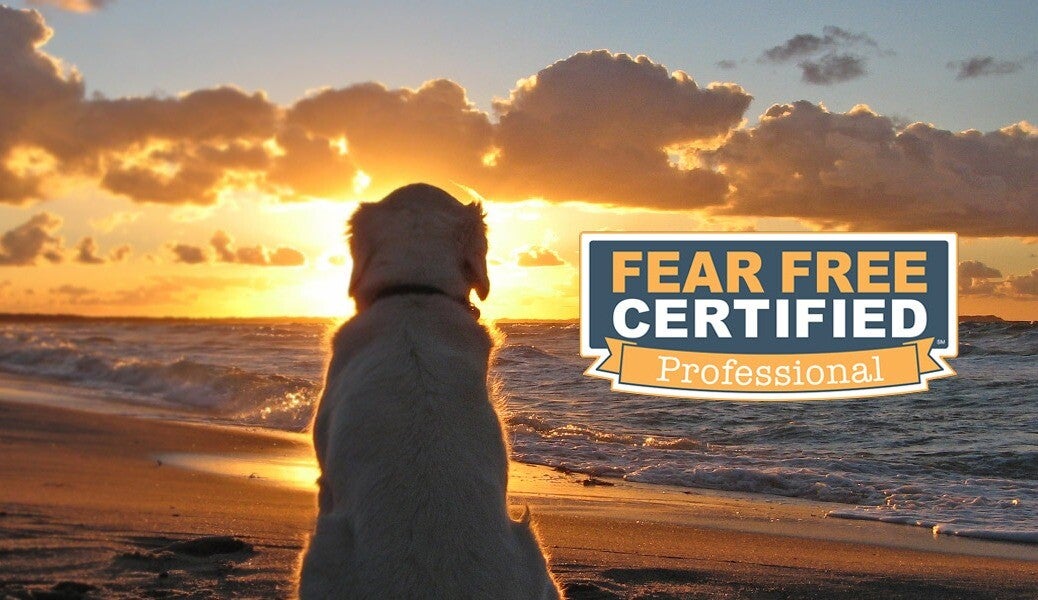 Fear Free Pet Sitting Simi Valley, CA