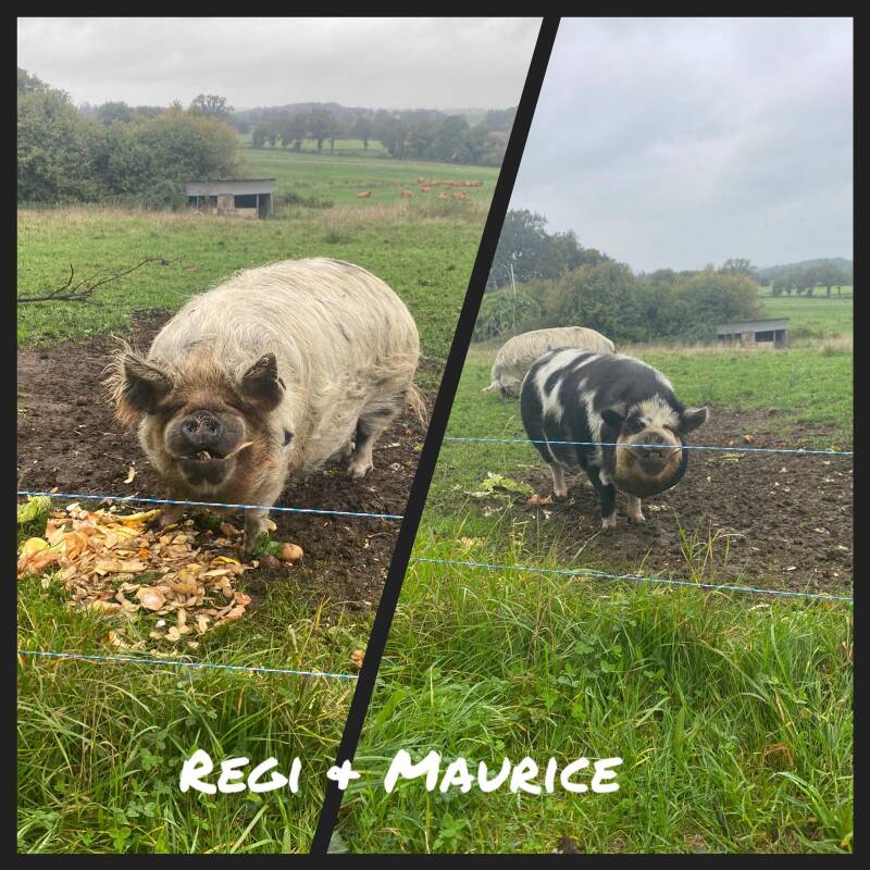 rural france, A la terre ferme, chambre d'hotes, b&b, onthaasten, haute vienne