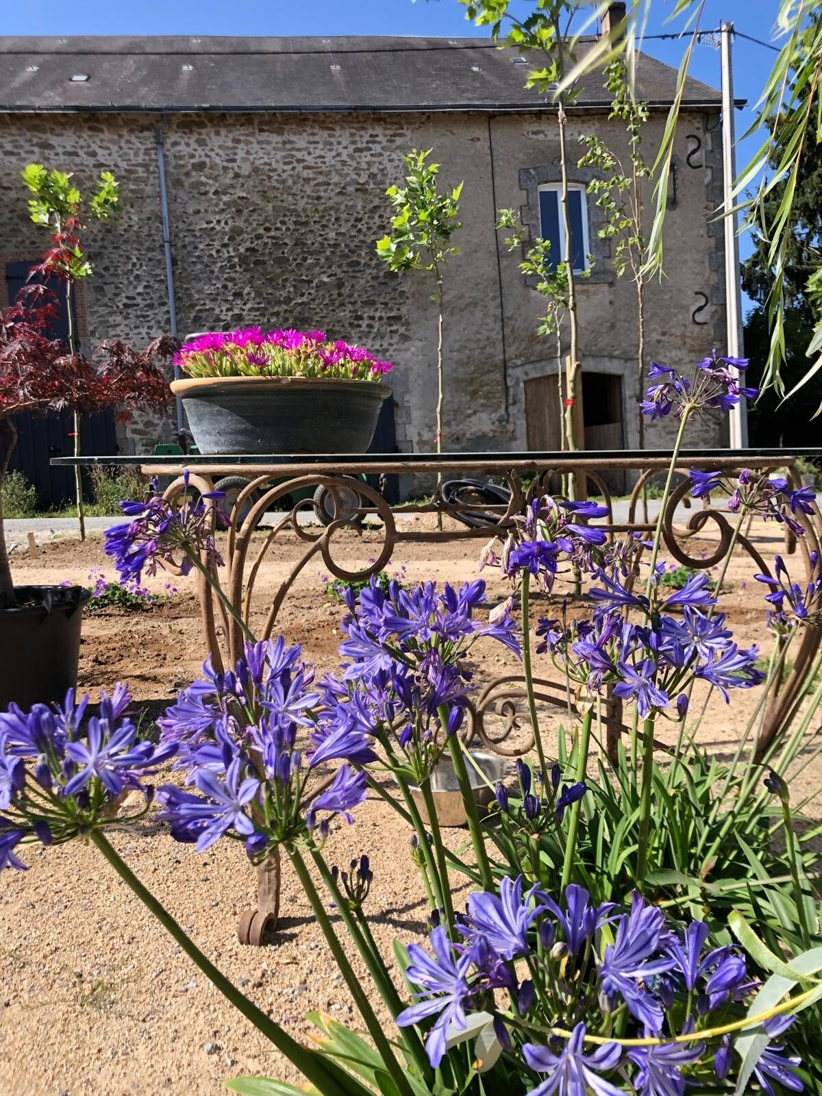 vertragen, slow living, organique, autosuffisant,  self-sufficient, zelf voorzienend, organic farm, rural france, logeren bij belgen