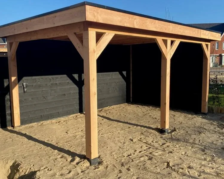 Douglas overkapping 500x300 inclusief montage