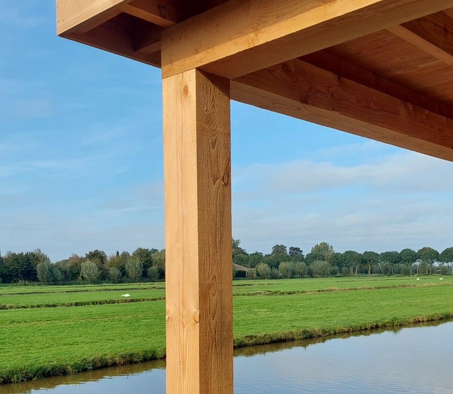 Fijnbezaagd Douglas hout