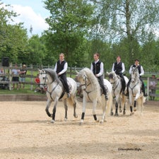 quadrille1-1.jpg