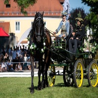 _dsc5313-standard.jpg