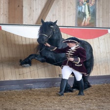 _dsc6245-standard-gqw6w1.jpg