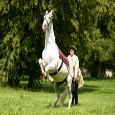 _l8b4398-standard.jpg