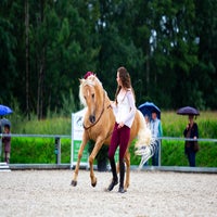 _l8b7131-standard.jpg